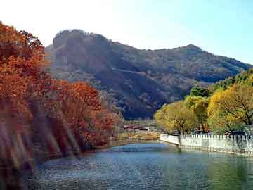 管家婆黑白马报图库，松雅